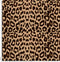 00066-a Brown Leopard.