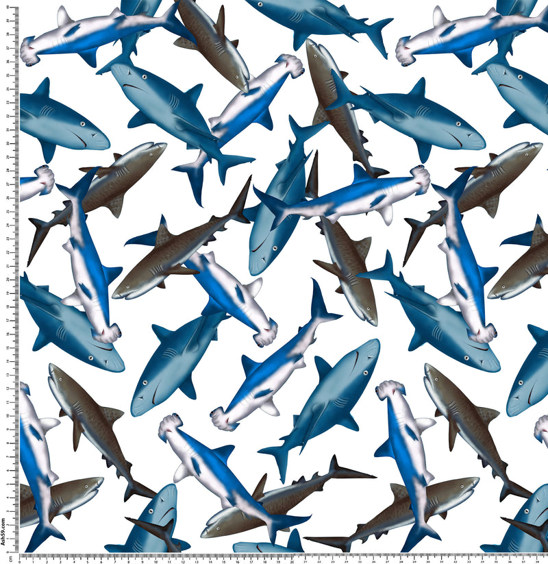3041 Sharks White.