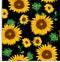 3826 Sunflowers.