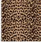 4978 Stone Leopard.
