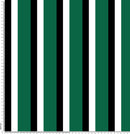 5110 blk white green stripe.