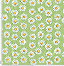 F6 Daisies on green.