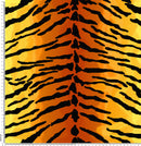 J059 tiger.
