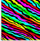Z10 Zebra Rainbow Print.