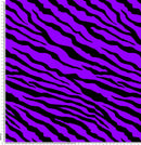 Z4 Zebra Print Purple.